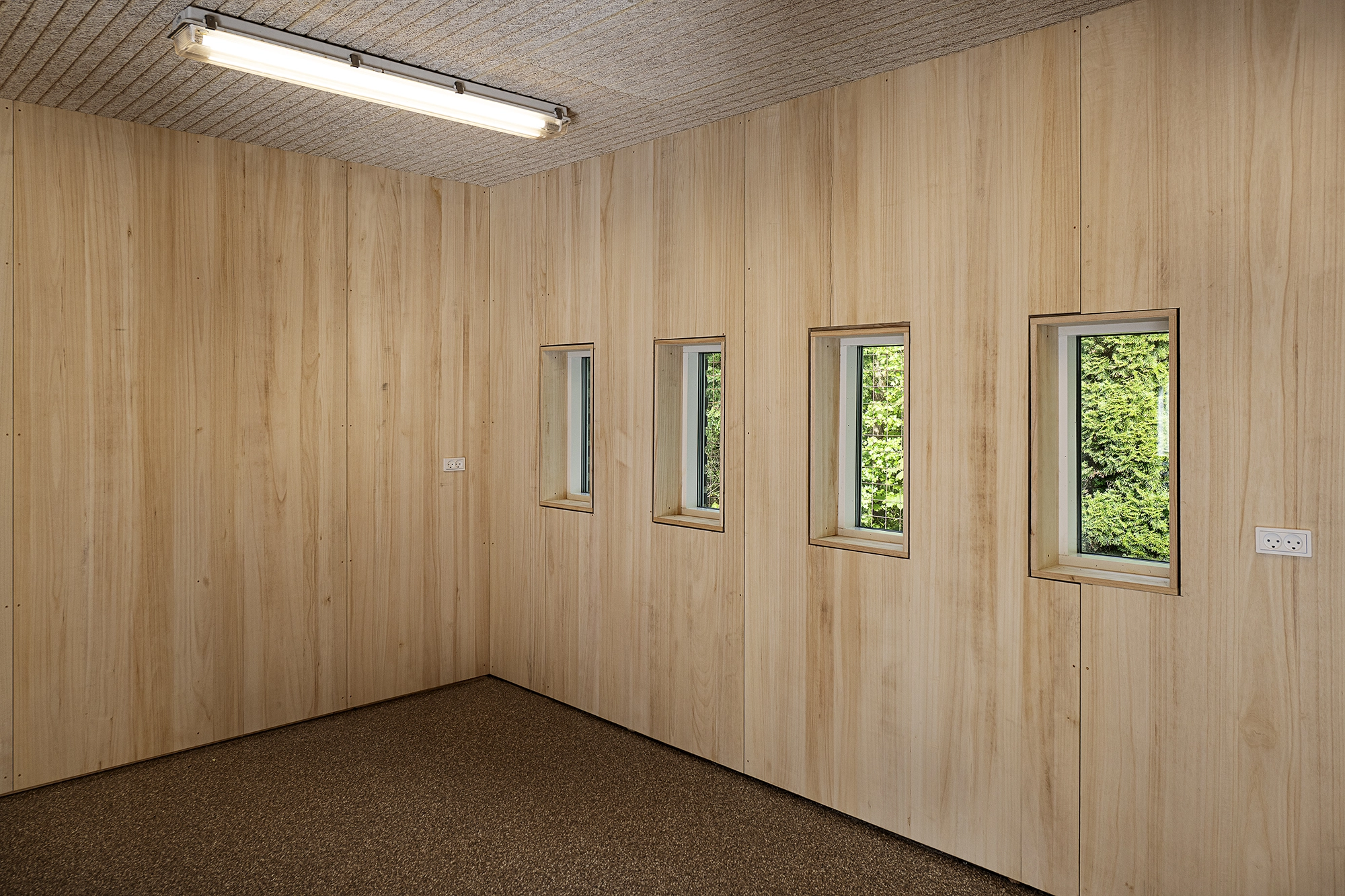Kiri-trae-garage-2